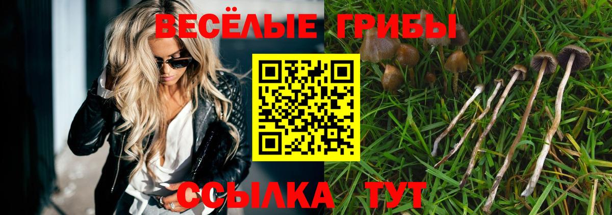 Нововоронеж  где можно купить   Псилоцибиновые грибы ЛСД  Вход с VPN  Галлюциногенные грибы GOLDEN TEACHER 
